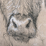 Sketch of animal VIII (Highland bull) by Mercana Studio a Hand Embellished Textured Canvas by Mercana at Eve Furniture