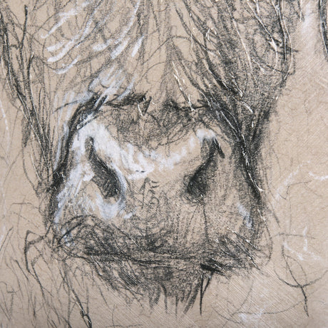 Sketch of animal VIII (Highland bull) by Mercana Studio a Hand Embellished Textured Canvas by Mercana at Eve Furniture