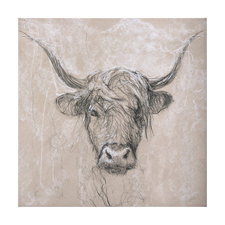 Sketch of animal VIII (Highland bull) by Mercana Studio a Hand Embellished Textured Canvas by Mercana at Eve Furniture