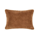 SLD Heirloom Hazel Velvet Multiple Sizes Throw Pillow (Set of 2) by Classic Home at Eve Furniture