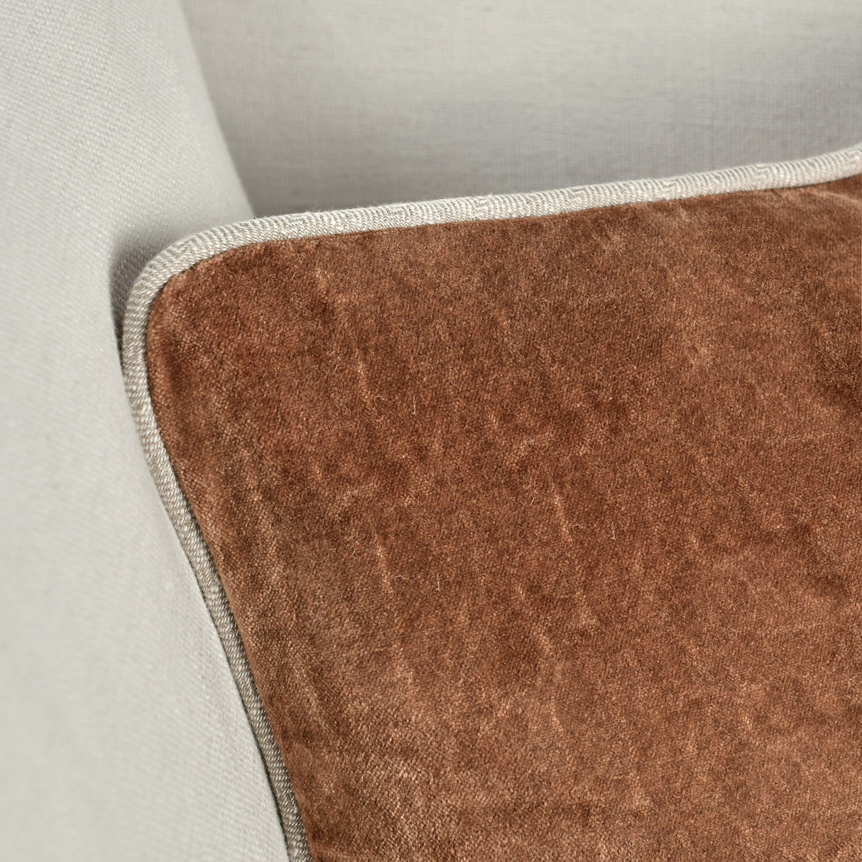 SLD Heirloom Hazel Velvet Multiple Sizes Throw Pillow (Set of 2) by Classic Home at Eve Furniture