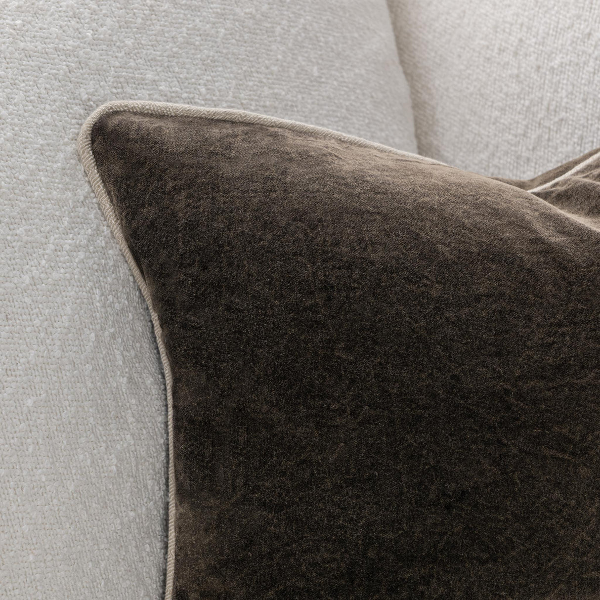 SLD Heirloom Velvet Dark Clove Throw Pillow (Set of 2) by Classic Home at Eve Furniture