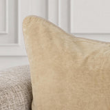 SLD Heirloom Wheat Velvet Multiple Sizes Throw Pillow (Set of 2) by Classic Home at Eve Furniture