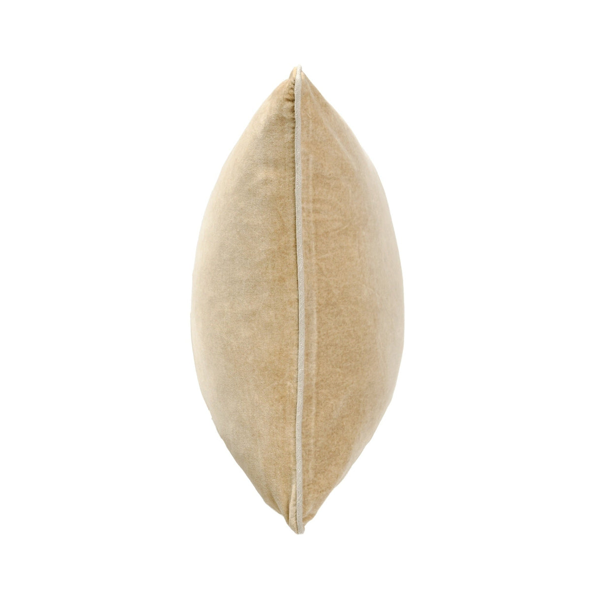 SLD Heirloom Wheat Velvet Multiple Sizes Throw Pillow (Set of 2) by Classic Home at Eve Furniture