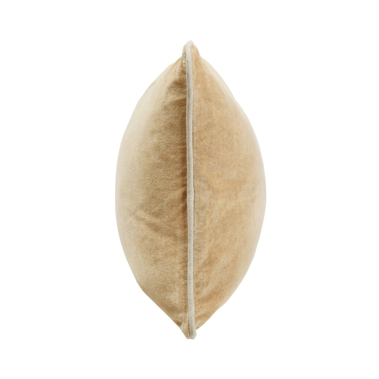 SLD Heirloom Wheat Velvet Multiple Sizes Throw Pillow (Set of 2) by Classic Home at Eve Furniture