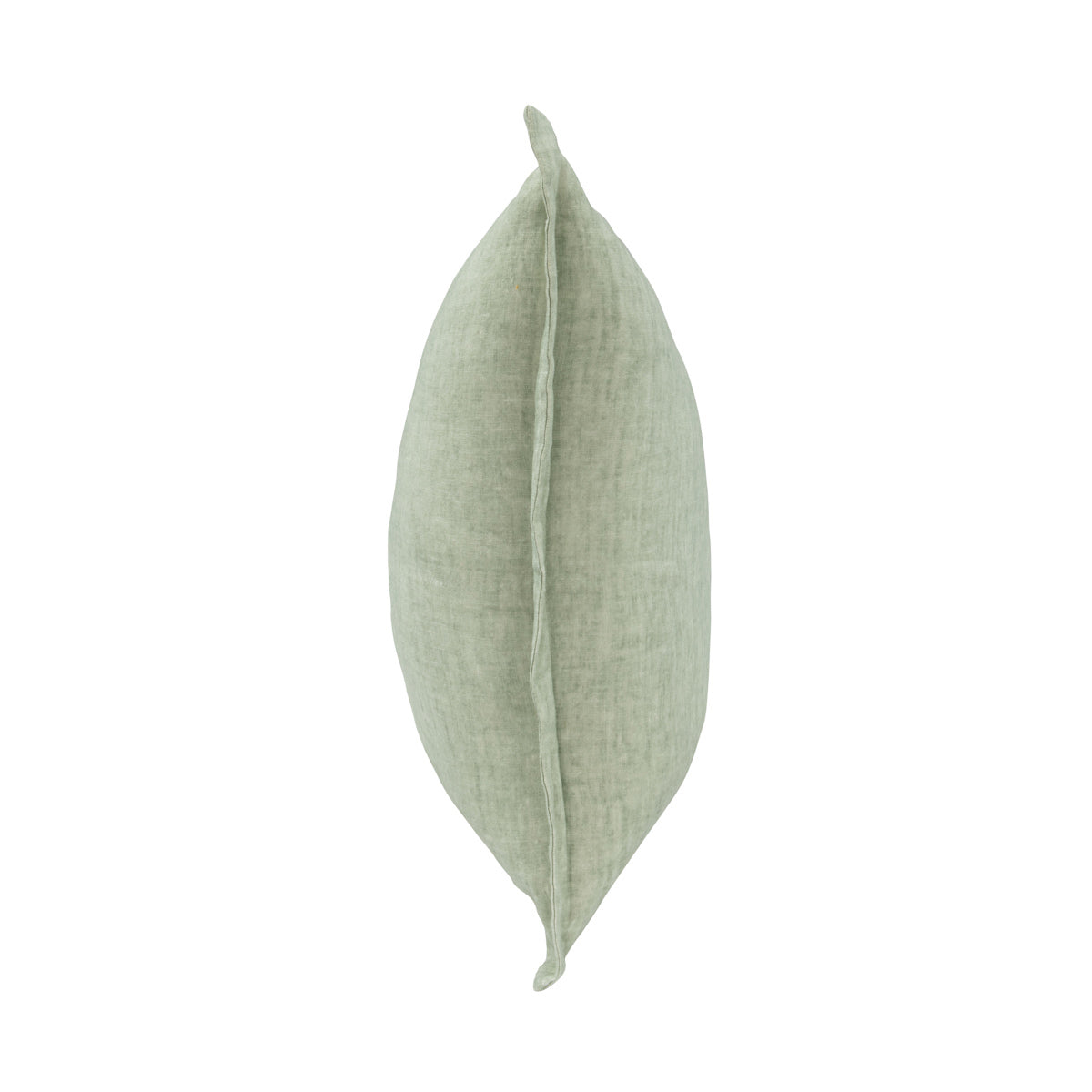 SLD Solstice Mint 22x22 Throw Pillow (Set of 2) by Classic Home at Eve Furniture
