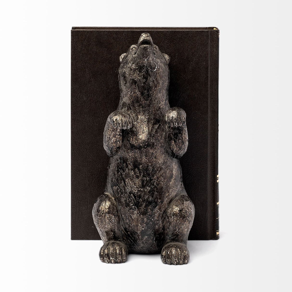 Sleuth (Set of 2) Grizzly Bear Bookends by Mercana at Eve Furniture