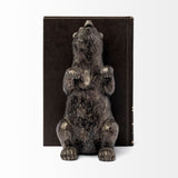 Sleuth (Set of 2) Grizzly Bear Bookends by Mercana at Eve Furniture