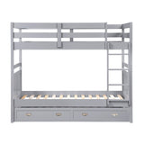 Sloane Gray Twin/Twin Bunk Bed by Homelegance at Eve Furniture
