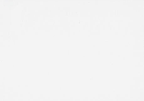 Sloane White Twin Canopy Platform Bed by Homelegance at Eve Furniture