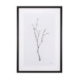 Snow Greetings I by Panpan a Framed Art Print Matted under Glass by Mercana at Eve Furniture