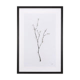 Snow Greetings I by Panpan a Framed Art Print Matted under Glass by Mercana at Eve Furniture