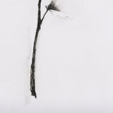Snow Greetings II by Panpan a Framed Art Print Matted under Glass by Mercana at Eve Furniture