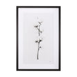 Snow Greetings II by Panpan a Framed Art Print Matted under Glass by Mercana at Eve Furniture