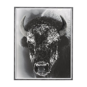 Snow Mask by Mercana Studio a Hand Embellished Textured Framed Photo Art Print Matted under Glass by Mercana at Eve Furniture