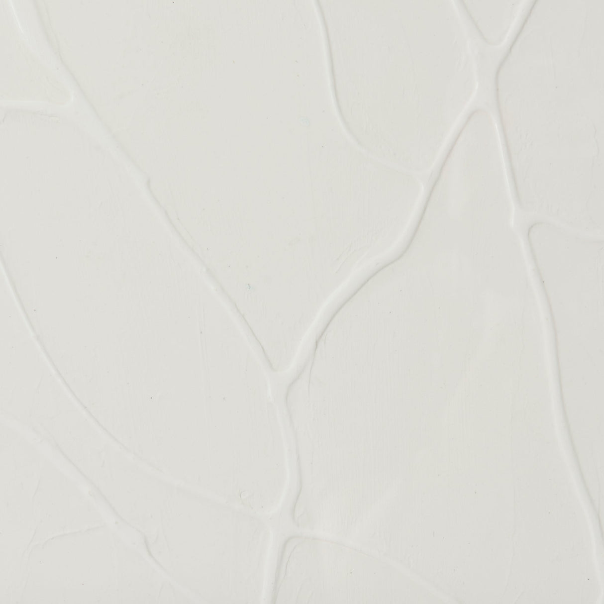 Snow Trails by Mercana Studio a Framed Art Print Matted under Glass by Mercana at Eve Furniture