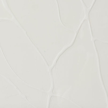 Snow Trails by Mercana Studio a Framed Art Print Matted under Glass by Mercana at Eve Furniture