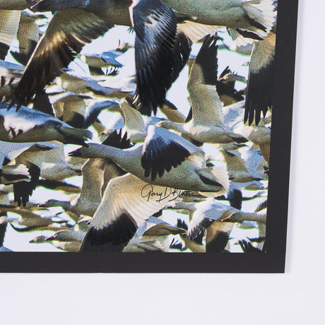 Snowgoose Migration 1 by Gary Blatter Hand Embellished Textured Framed Art Print Matted under Glass by Mercana at Eve Furniture
