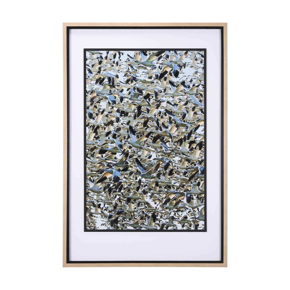 Snowgoose Migration 2 by Gary Blatter Hand Embelished Textured Framed Art Print Matted under Glass by Mercana at Eve Furniture