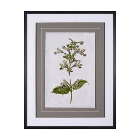 Soft Blue Botanoicals III by Mercana Studio Hand Embellished Framed Art Print Matted under Glass by Mercana at Eve Furniture