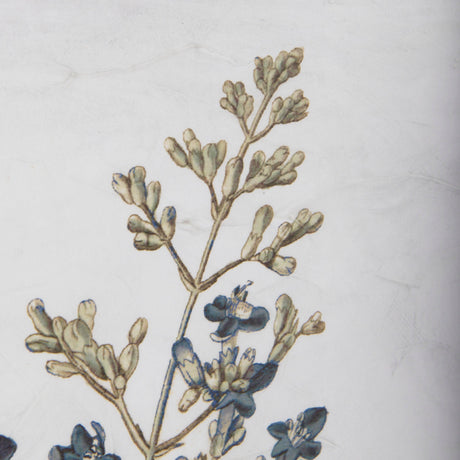 Soft Blue Botanoicals IV by Mercana Studio Hand Embellished Framed Art Print Matted under Glass by Mercana at Eve Furniture