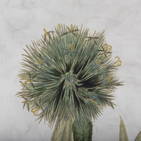 Soft Blue Botanoicals VI by Mercana Studio Hand Embellished Framed Art Print Matted under Glass by Mercana at Eve Furniture