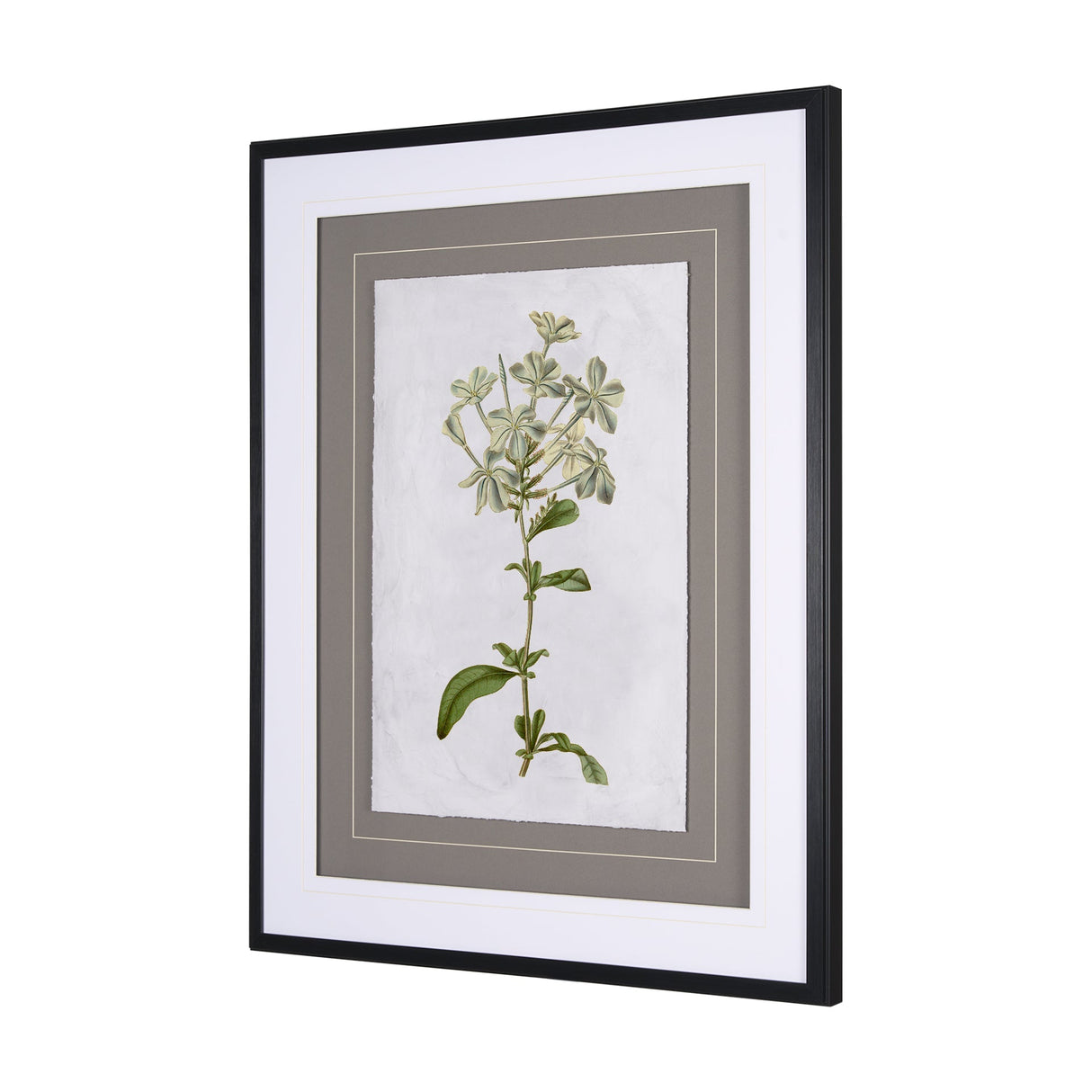Soft Blue Botanoicals VII by Mercana Studio Hand Embellished Framed Art Print Matted under Glass by Mercana at Eve Furniture