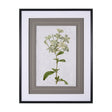 Soft Blue Botanoicals VII by Mercana Studio Hand Embellished Framed Art Print Matted under Glass by Mercana at Eve Furniture