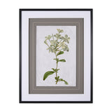 Soft Blue Botanoicals VII by Mercana Studio Hand Embellished Framed Art Print Matted under Glass by Mercana at Eve Furniture