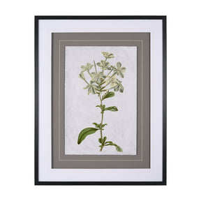 Soft Blue Botanoicals VII by Mercana Studio Hand Embellished Framed Art Print Matted under Glass by Mercana at Eve Furniture