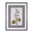Soft Blue Botanoicals VIII by Mercana Studio Hand Embellished Framed Art Print Matted under Glass by Mercana at Eve Furniture