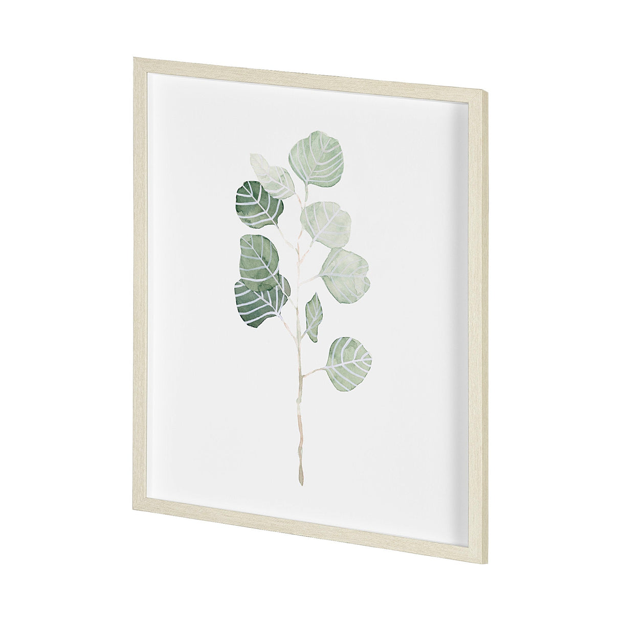 Soft Eucalyptus Branch I by Emma Scarvey Hand Embellished Framed Art Print Matted under Glass by Mercana at Eve Furniture