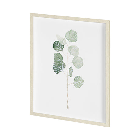 Soft Eucalyptus Branch I by Emma Scarvey Hand Embellished Framed Art Print Matted under Glass by Mercana at Eve Furniture