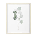 Soft Eucalyptus Branch I by Emma Scarvey Hand Embellished Framed Art Print Matted under Glass by Mercana at Eve Furniture