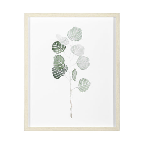 Soft Eucalyptus Branch I by Emma Scarvey Hand Embellished Framed Art Print Matted under Glass by Mercana at Eve Furniture
