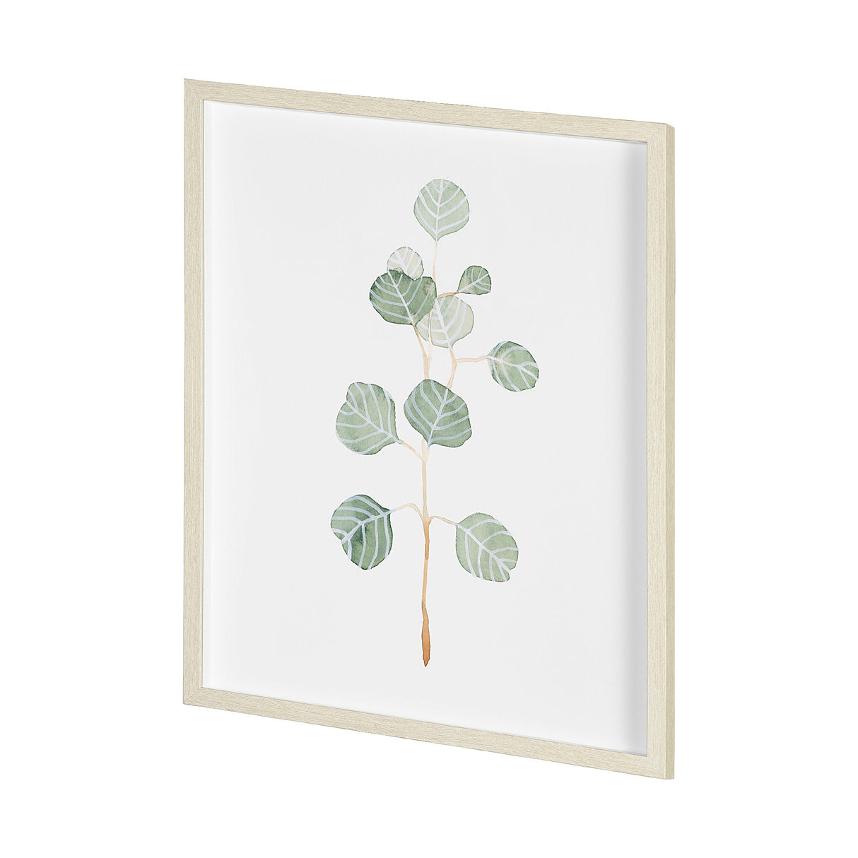 Soft Eucalyptus Branch II by Emma Scarvey Hand Embellished Framed Art Print Matted under Glass by Mercana at Eve Furniture