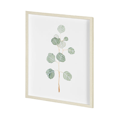 Soft Eucalyptus Branch II by Emma Scarvey Hand Embellished Framed Art Print Matted under Glass by Mercana at Eve Furniture