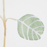 Soft Eucalyptus Branch II by Emma Scarvey Hand Embellished Framed Art Print Matted under Glass by Mercana at Eve Furniture