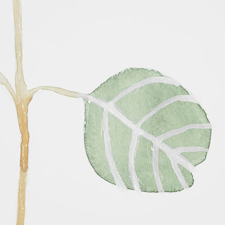 Soft Eucalyptus Branch II by Emma Scarvey Hand Embellished Framed Art Print Matted under Glass by Mercana at Eve Furniture
