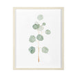 Soft Eucalyptus Branch II by Emma Scarvey Hand Embellished Framed Art Print Matted under Glass by Mercana at Eve Furniture