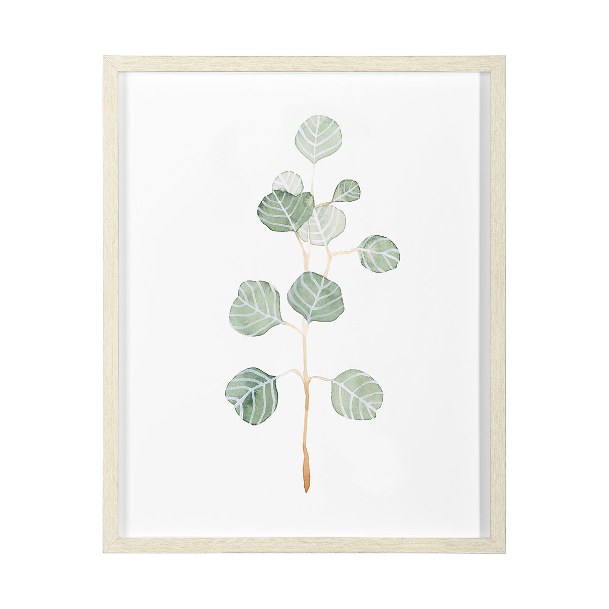 Soft Eucalyptus Branch II by Emma Scarvey Hand Embellished Framed Art Print Matted under Glass by Mercana at Eve Furniture
