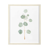 Soft Eucalyptus Branch II by Emma Scarvey Hand Embellished Framed Art Print Matted under Glass by Mercana at Eve Furniture