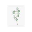 Soft Eucalyptus Branch III by Emma Scarvey a Hand Embellished Textured Canvas by Mercana at Eve Furniture