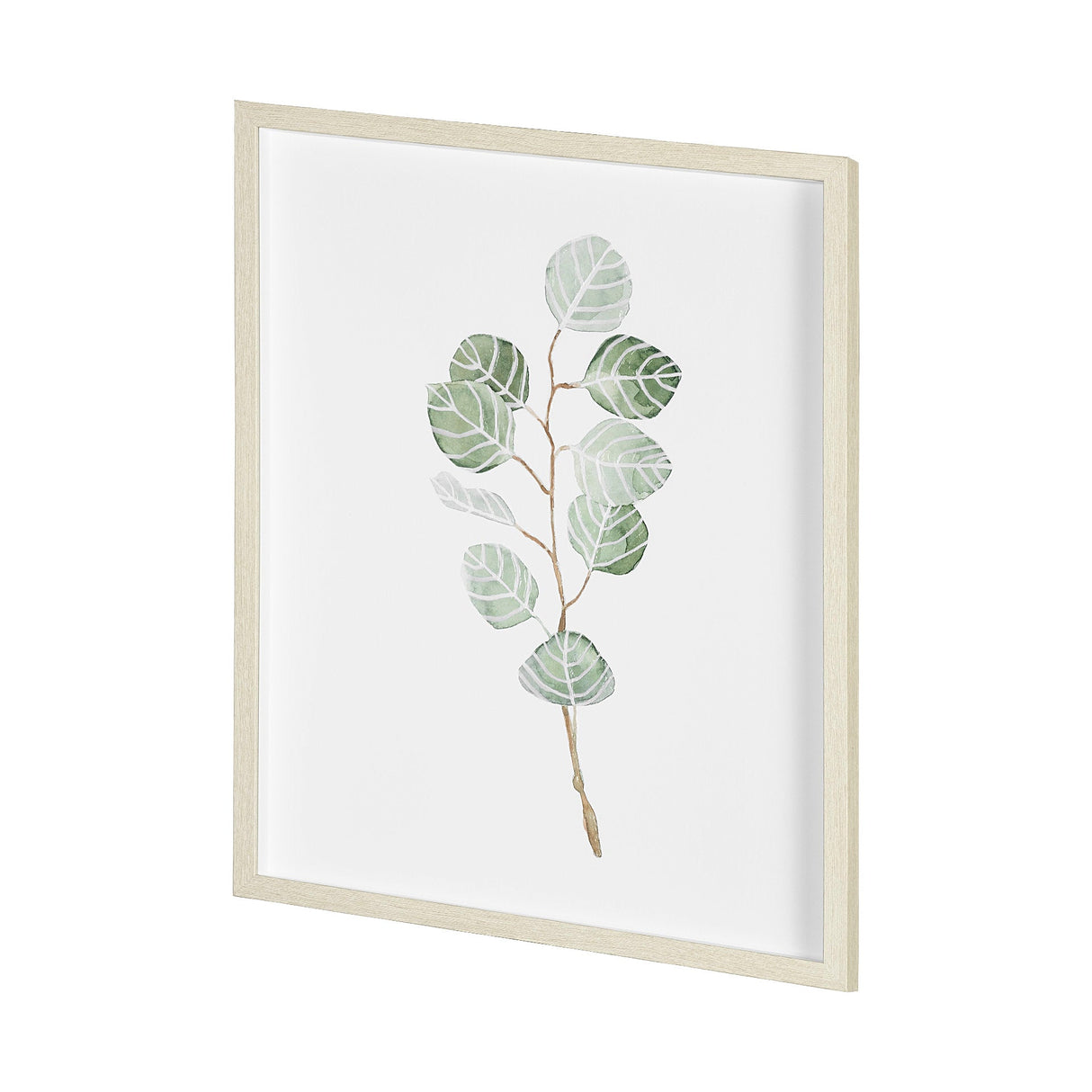 Soft Eucalyptus Branch III by Emma Scarvey Hand Embellished Framed Art Print Matted under Glass by Mercana at Eve Furniture