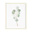 Soft Eucalyptus Branch III by Emma Scarvey Hand Embellished Framed Art Print Matted under Glass by Mercana at Eve Furniture