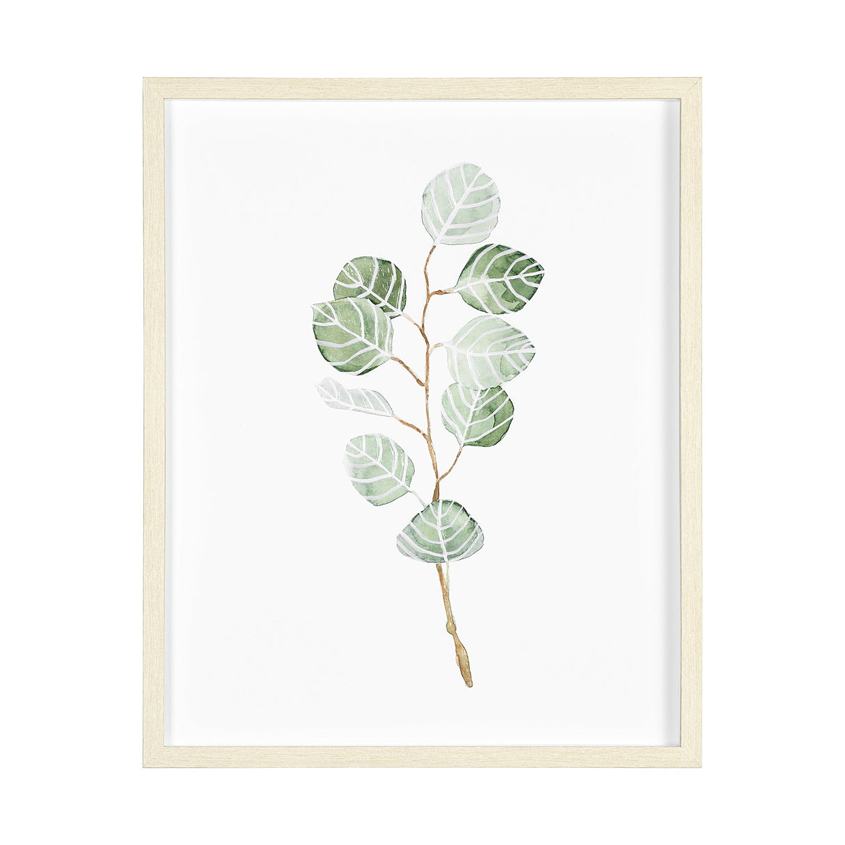 Soft Eucalyptus Branch III by Emma Scarvey Hand Embellished Framed Art Print Matted under Glass by Mercana at Eve Furniture