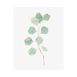 Soft Eucalyptus Branch IV by Emma Scarvey a Hand Embellished Textured Canvas by Mercana at Eve Furniture