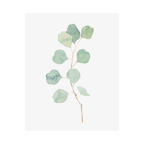 Soft Eucalyptus Branch IV by Emma Scarvey a Hand Embellished Textured Canvas by Mercana at Eve Furniture