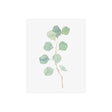 Soft Eucalyptus Branch IV by Emma Scarvey a Hand Embellished Textured Canvas by Mercana at Eve Furniture
