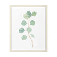 Soft Eucalyptus Branch IV by Emma Scarvey Hand Embellished Framed Art Print Matted under Glass by Mercana at Eve Furniture